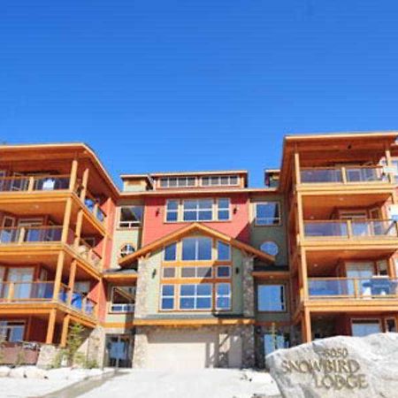 Snowbird Lodge 웨스트뱅크 외부 사진